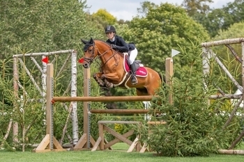 Ultimate Playboy takes fourth Hickstead victory Ultimate Playboy takes fourth Hickstead victory